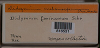 Image Associated With the Occurence